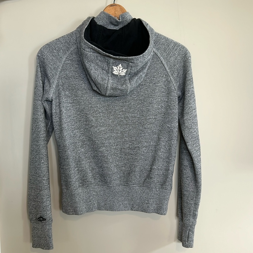 Roots Gray Banff Hoodie - Picture 4 of 12